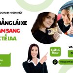 Web đổi bằng lái xe Việt Nam sang quốc tế IAA