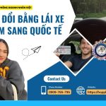 Website đổi bằng lái xe Việt Nam sang quốc tế