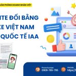 Website đổi bằng lái xe Việt Nam sang quốc tế IAA