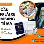 Yêu cầu đổi bằng lái xe Việt Nam sang quốc tế IAA
